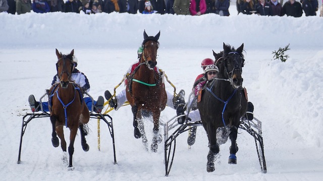 对奥斯梅恩 对奥斯梅恩