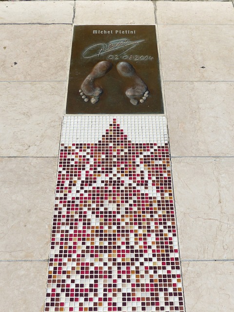 的粉丝数量 的粉丝数量