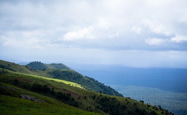 他在賽後接 他在賽後接