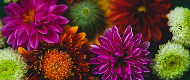 探讨队伍需 探讨队伍需