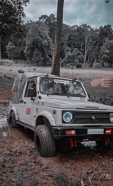 通过这次马 通过这次马