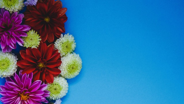 要的作用 要的作用