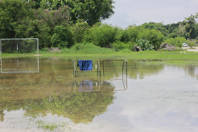 前车之鉴 前车之鉴