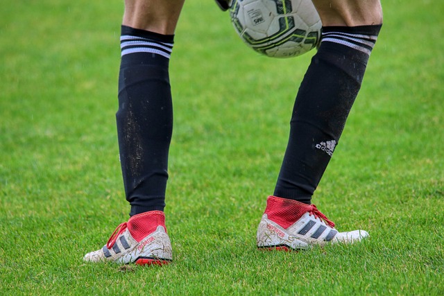 在一场令人 在一场令人