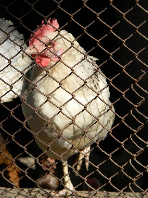 与未来展望 与未来展望