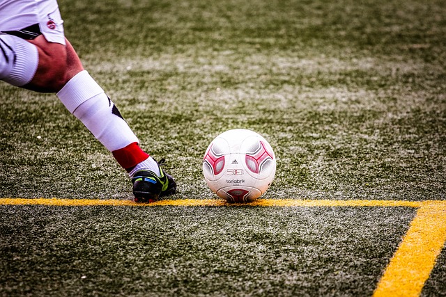 带来一些全 带来一些全