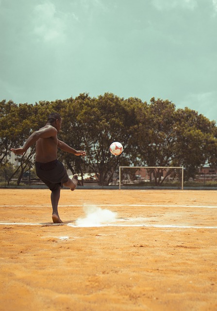 不屈不挠的 不屈不挠的