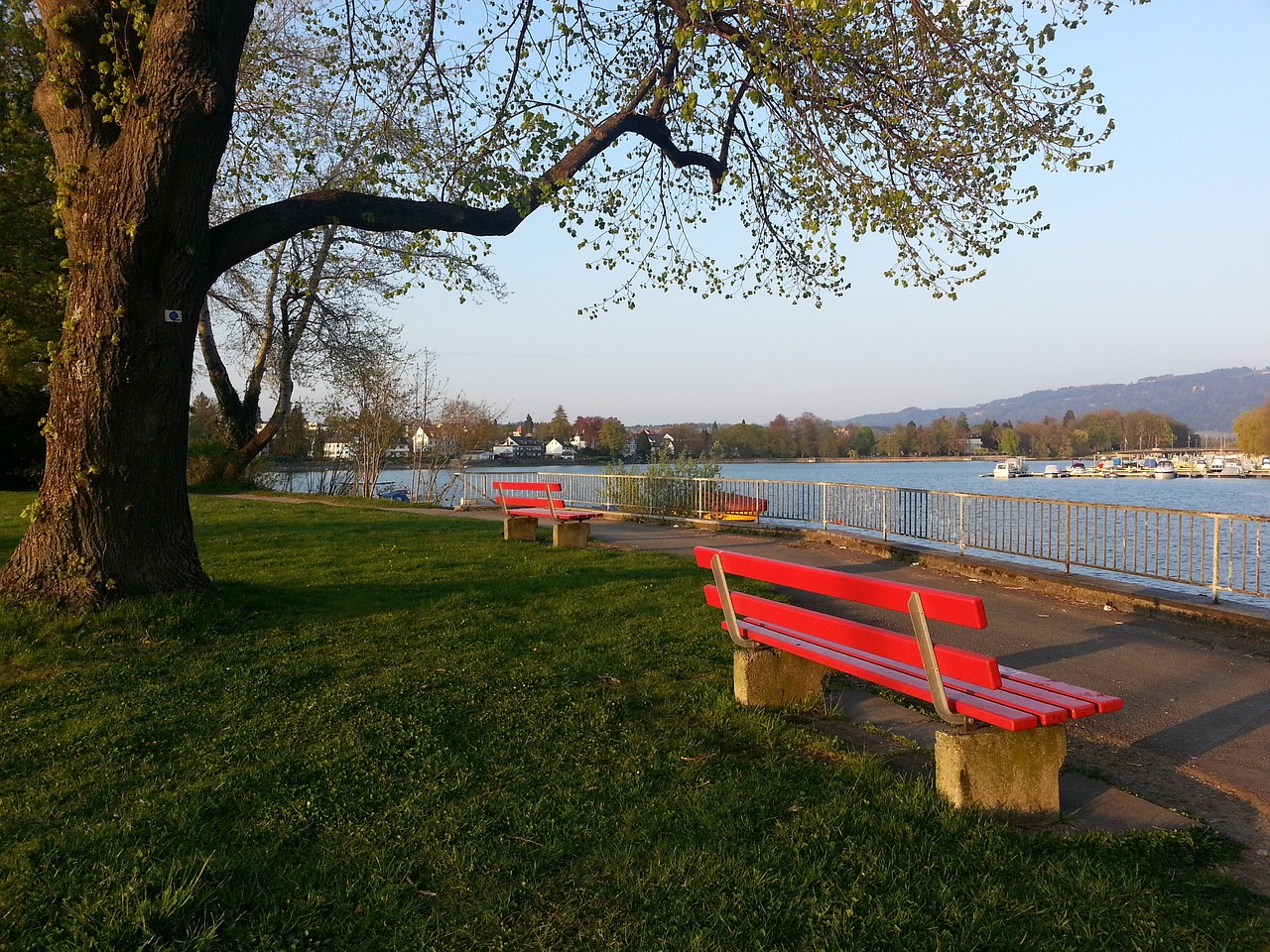 带给利物浦 带给利物浦
