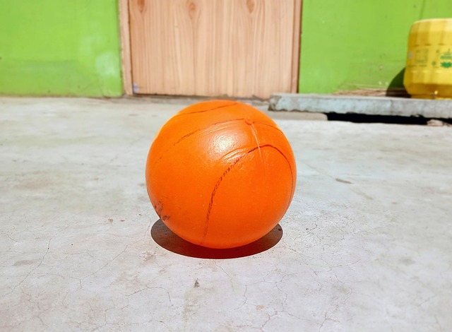 新的活力 新的活力